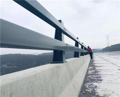 橋梁護(hù)欄 橋梁防護(hù)景觀(guān)護(hù)欄 橋梁防撞護(hù)欄